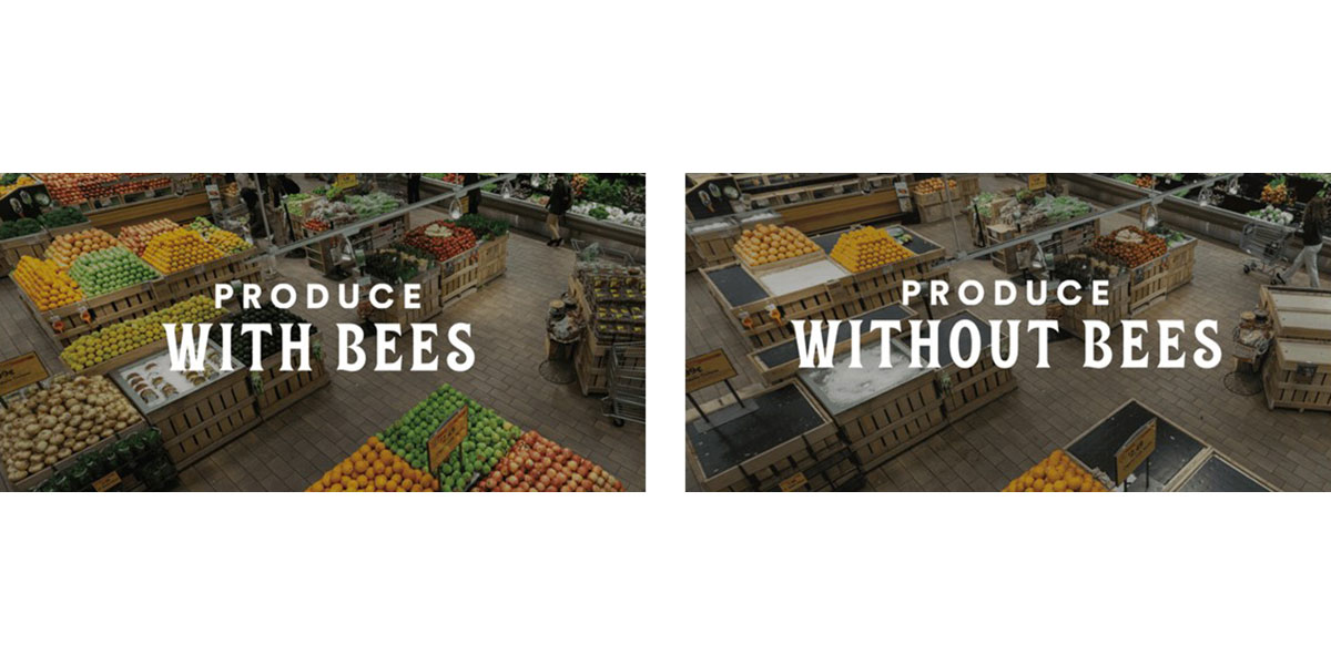"Con e senza api", la provocazione di Whole Foods